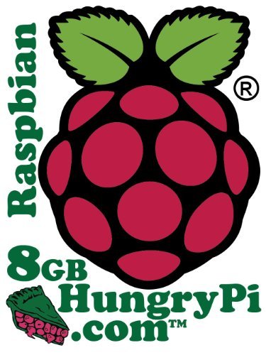 Preloaded SD Card for Raspberry Pi (32GB, Raspbian "wheezy")