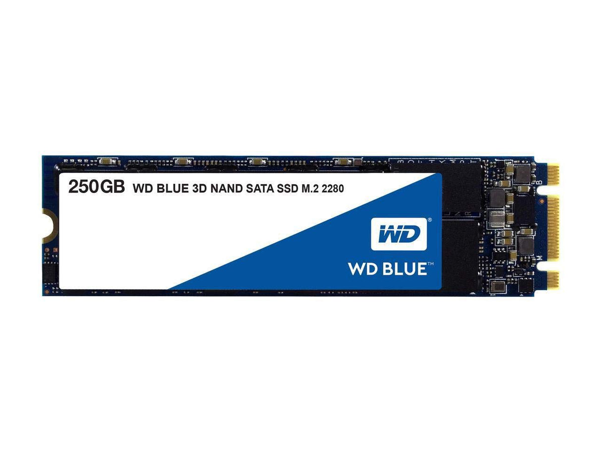 WD Blue 3D NAND 250GB Internal PC SSD - SATA III 6 Gb/s, M.2 2280, Up to 550 MB/s - WDS250G2B0B