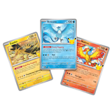 Pokemon 30th Celebration Poster Collections (2-Pack)