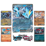 Pokemon Unova's Heavy Hitters Premium Collection