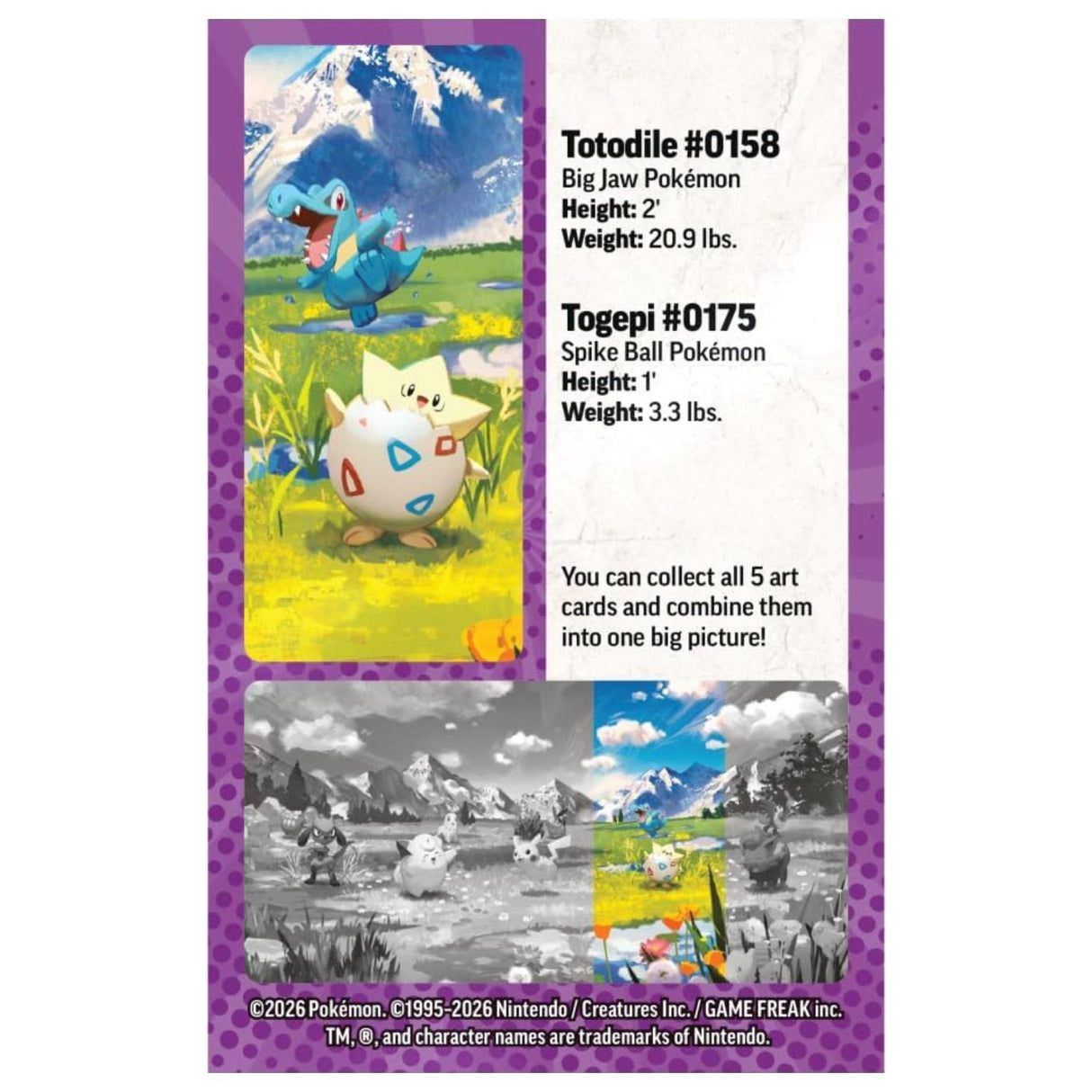 Pokemon ME2.5 Ascended Heroes Mini Tin | Togepi and Totodile