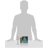 Pokemon ME1 Mega Evolution Elite Trainer Box | Mega Lucario