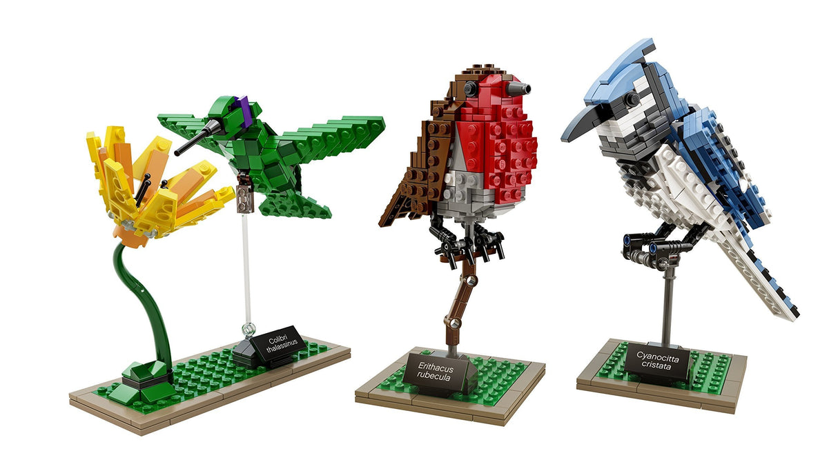 LEGO Ideas 21301 Birds Model Kit