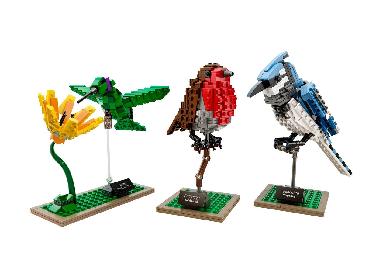 LEGO Ideas 21301 Birds Model Kit