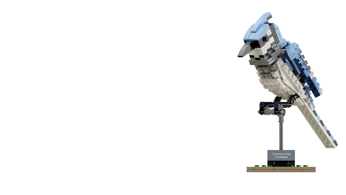 LEGO Ideas 21301 Birds Model Kit