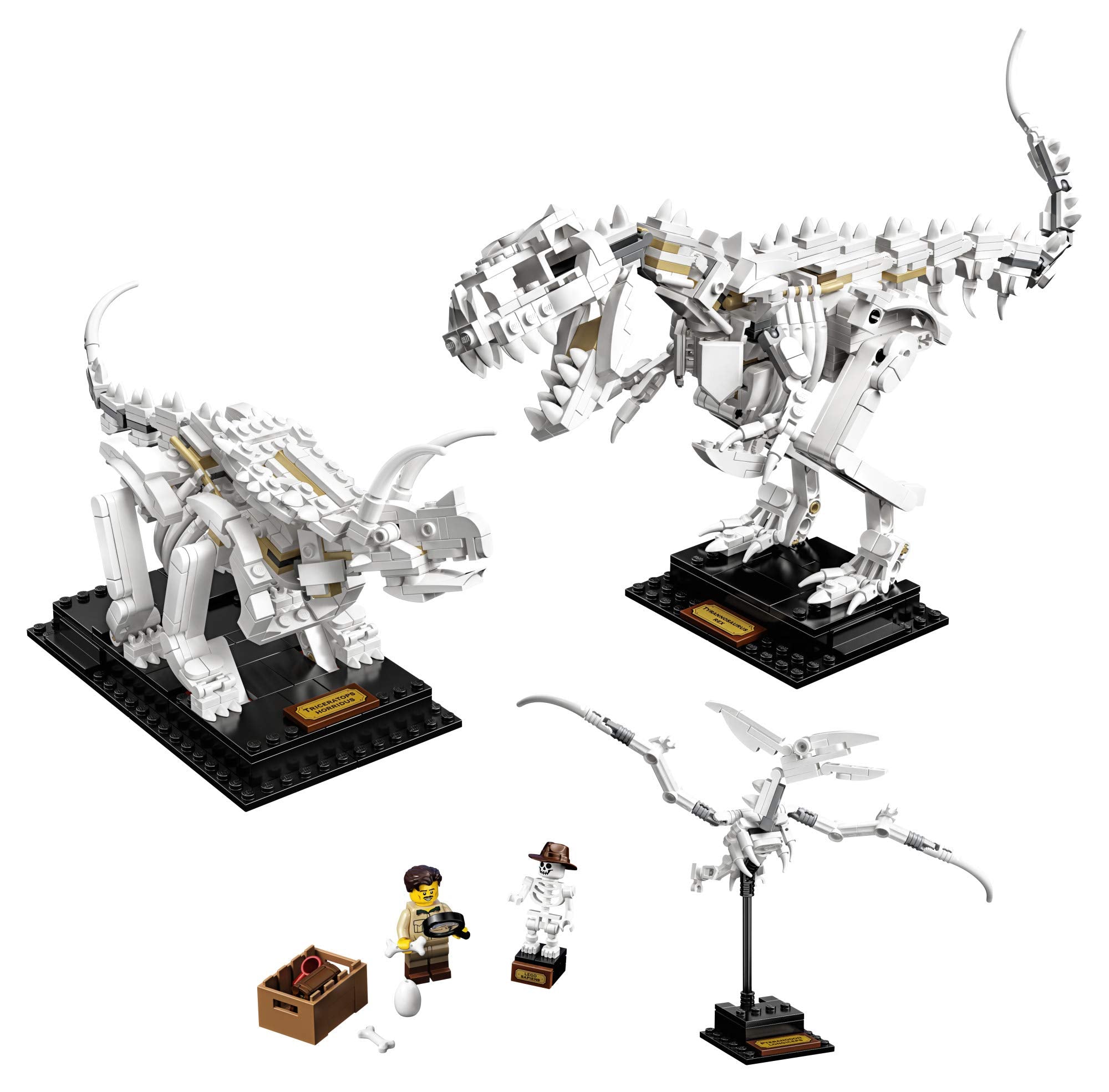 LEGO Ideas 21320 Dinosaur Fossils Building Kit (910 Pieces) (Like New, Open Box)