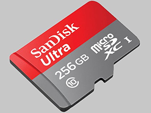 Professional Ultra SanDisk 256GB Samsung Galaxy S7 MicroSDXC card with CUSTOM Hi-Speed, Lossless Format! Includes Standard SD Adapter. (UHS-1 Class 10 Certified 100MB/s)