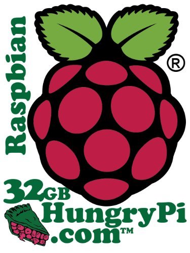 Preloaded SD Card for Raspberry Pi (32GB, Raspbian "wheezy")