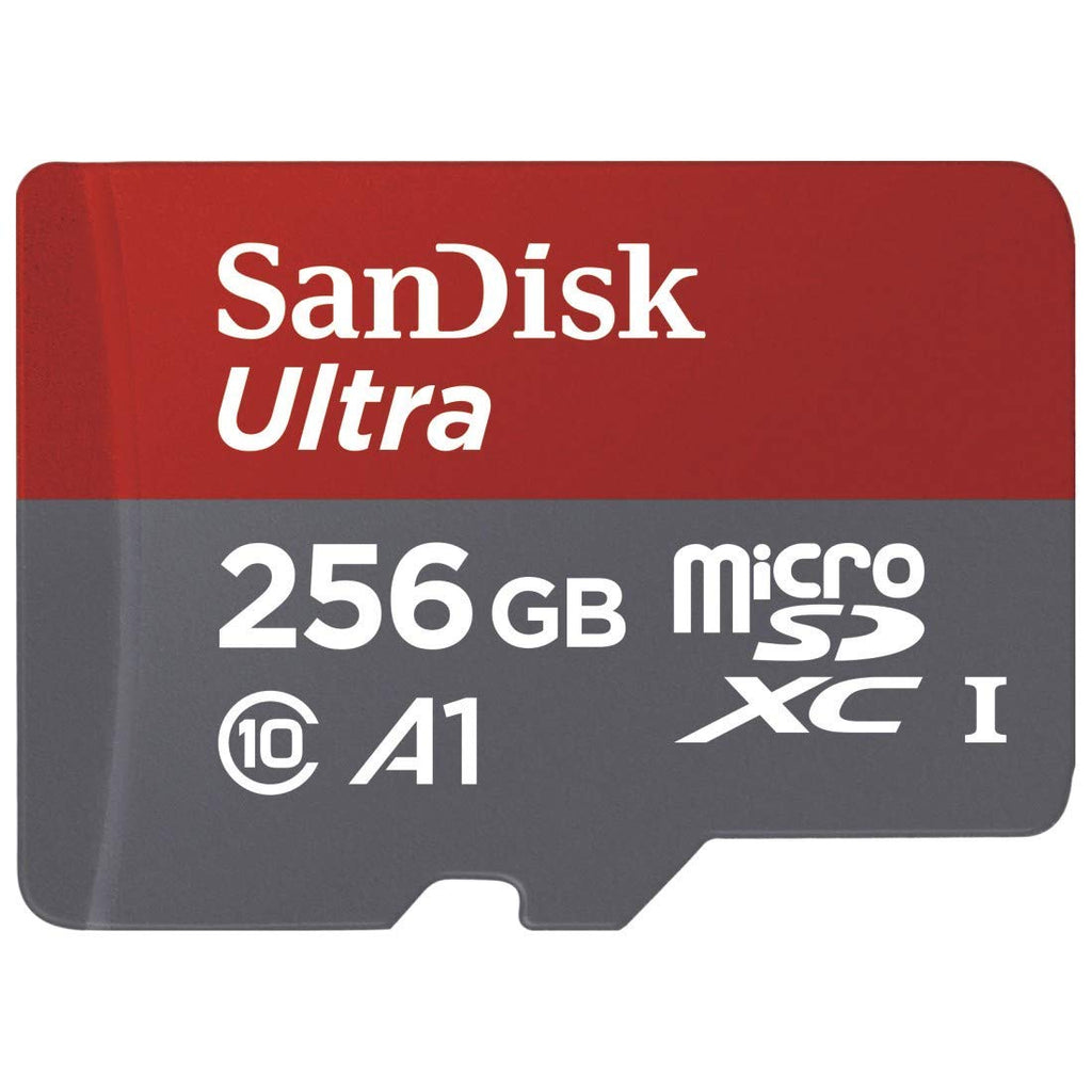 Carte MicroSD SanDisk High Endurance - SDSQQNR-128G-GN6IA